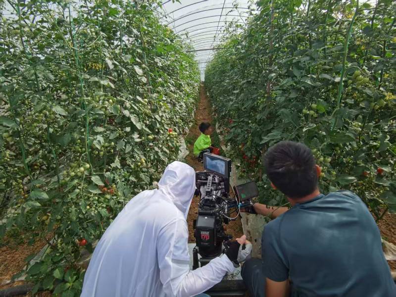 黄冈产品宣传视频拍摄公司进阶指南，助力品牌抢占传播高地